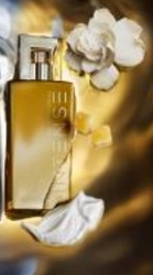 Attraction Intense for Her EDP