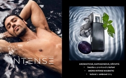 Attraction Intense for Him EDT